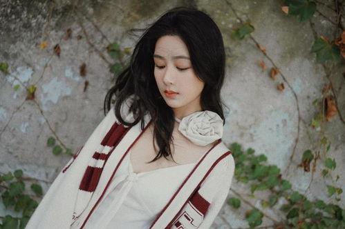 杨紫檀健次最新八卦爆料,甜蜜互动引网友热议