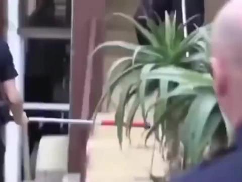 比特最新爆料消息新闻,最新科技动态揭秘，带你领略前沿科技魅力！”